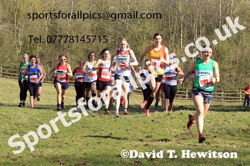 Senior and Masters Womens 2022 North Eastern Cross Country Relays, Farnley Farm, Peterlee.  Photo: David T. Hewitson/Sports for All Pics